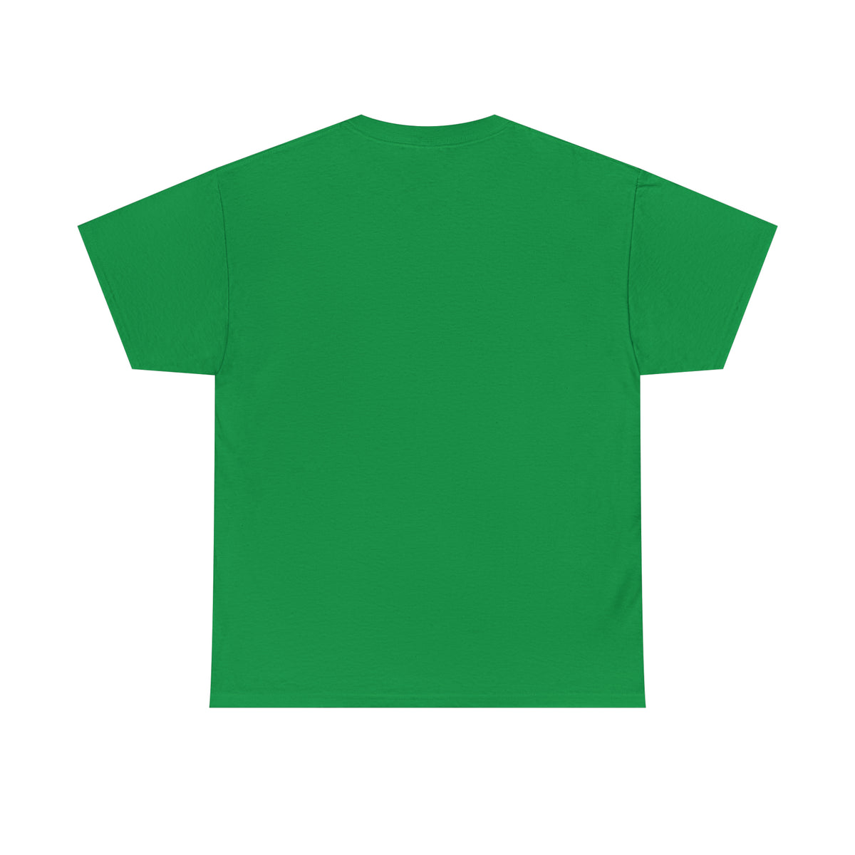 Indigenous Ally T-Shirt