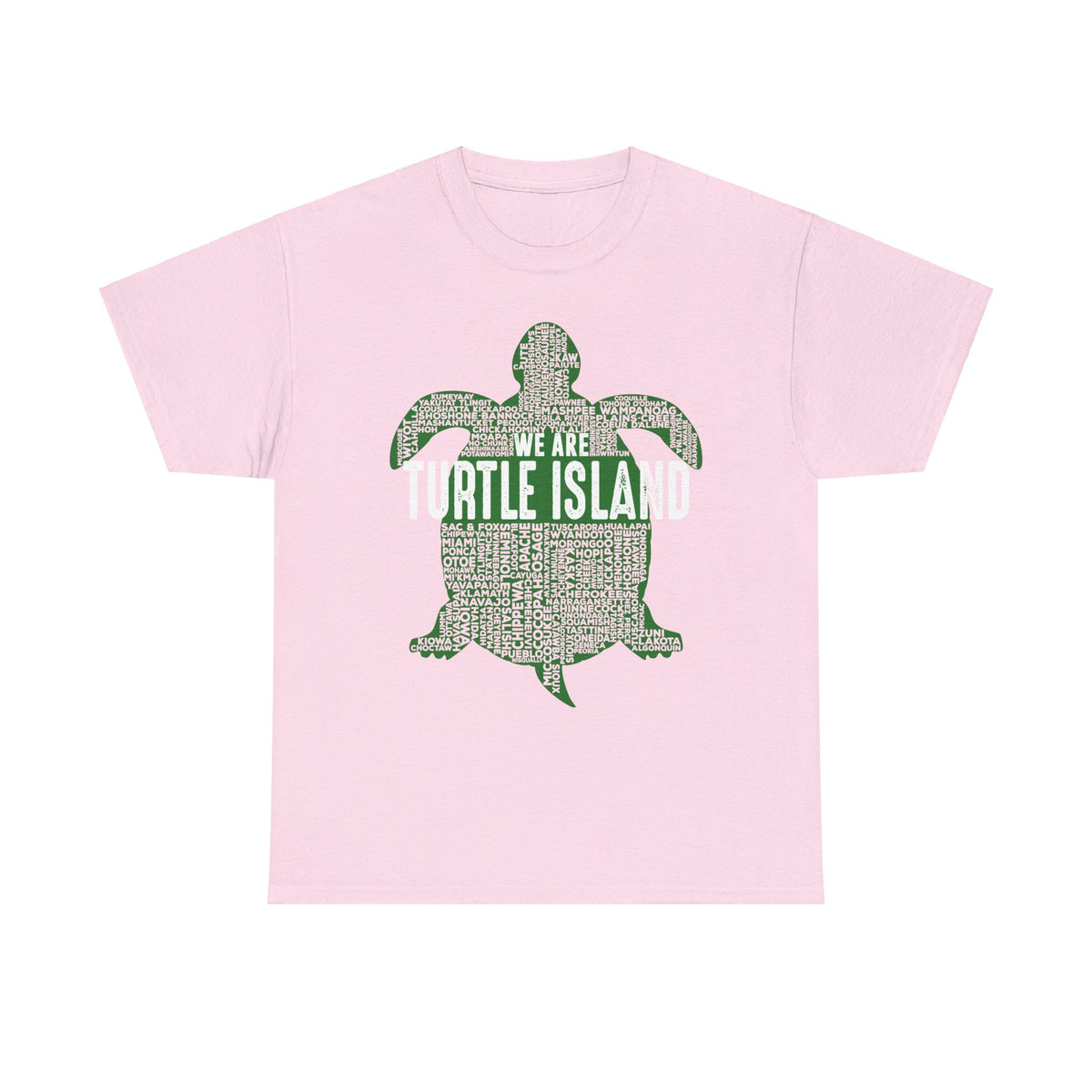 We Are Turtle Island T-Shirt