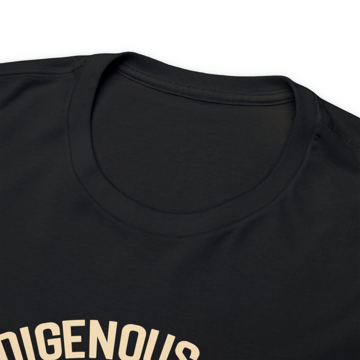 Indigenous Ally T-Shirt