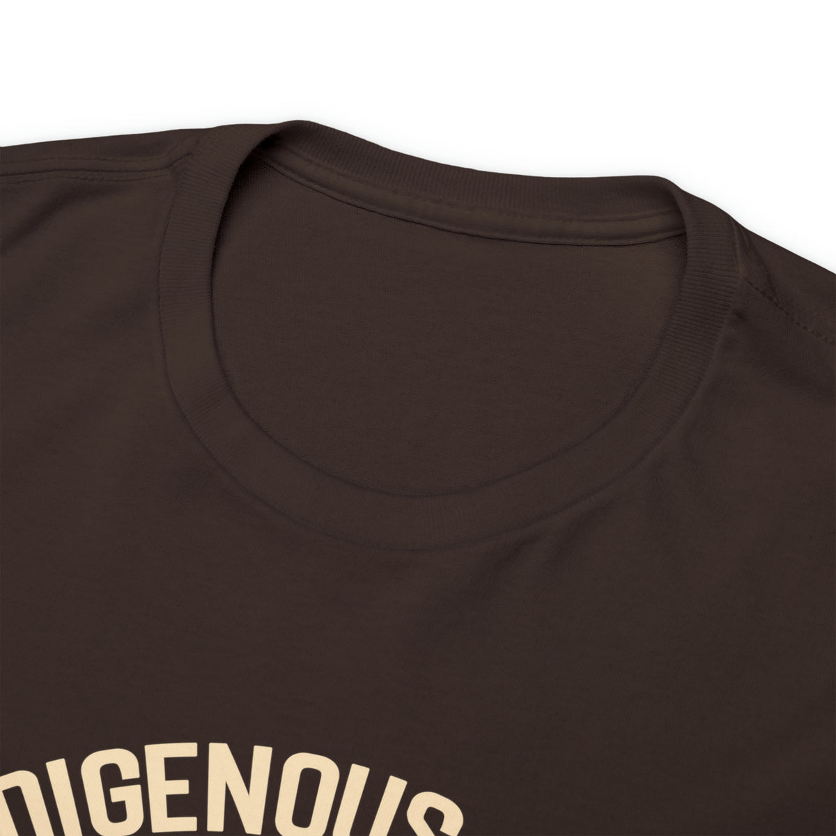 Indigenous Ally T-Shirt