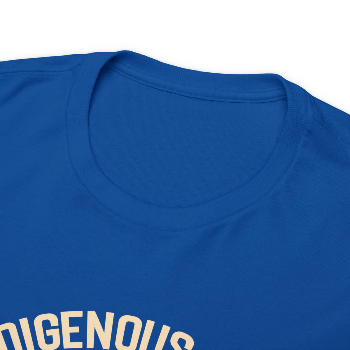Indigenous Ally T-Shirt