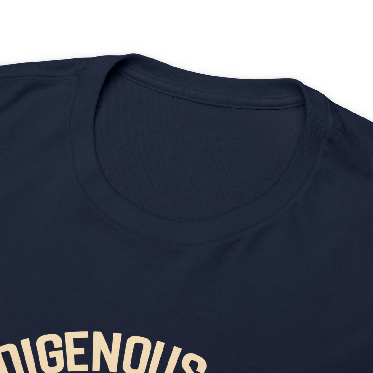 Indigenous Ally T-Shirt