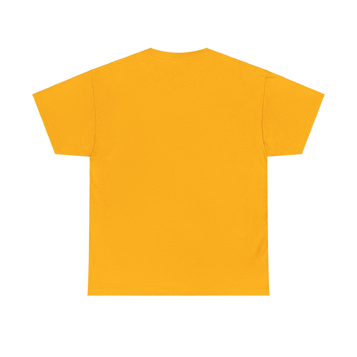 We Are Turtle Island T-Shirt