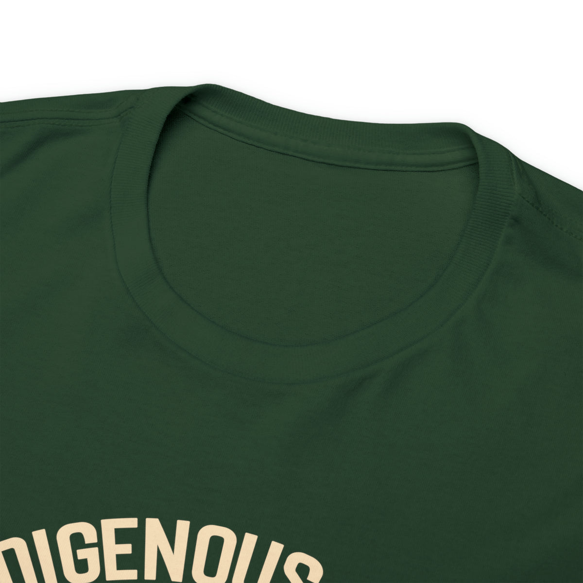 Indigenous Ally T-Shirt