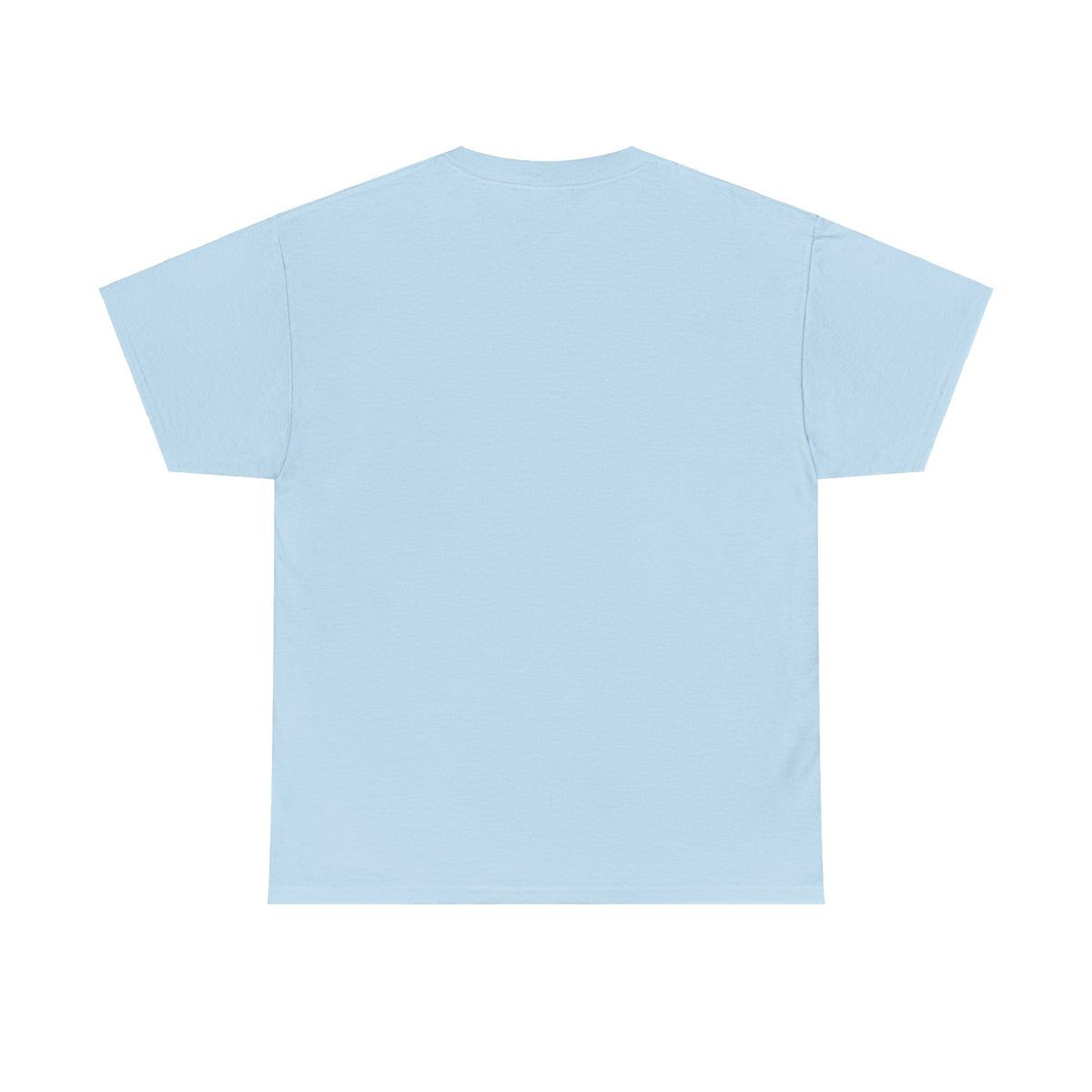 We Are Turtle Island T-Shirt