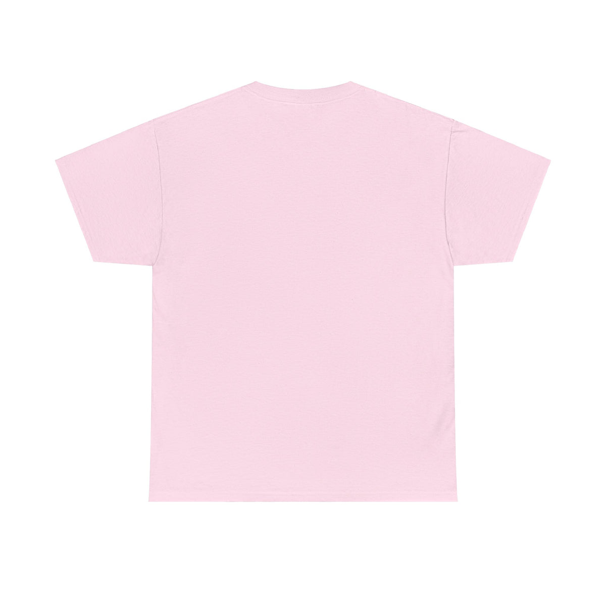 We Are Turtle Island T-Shirt