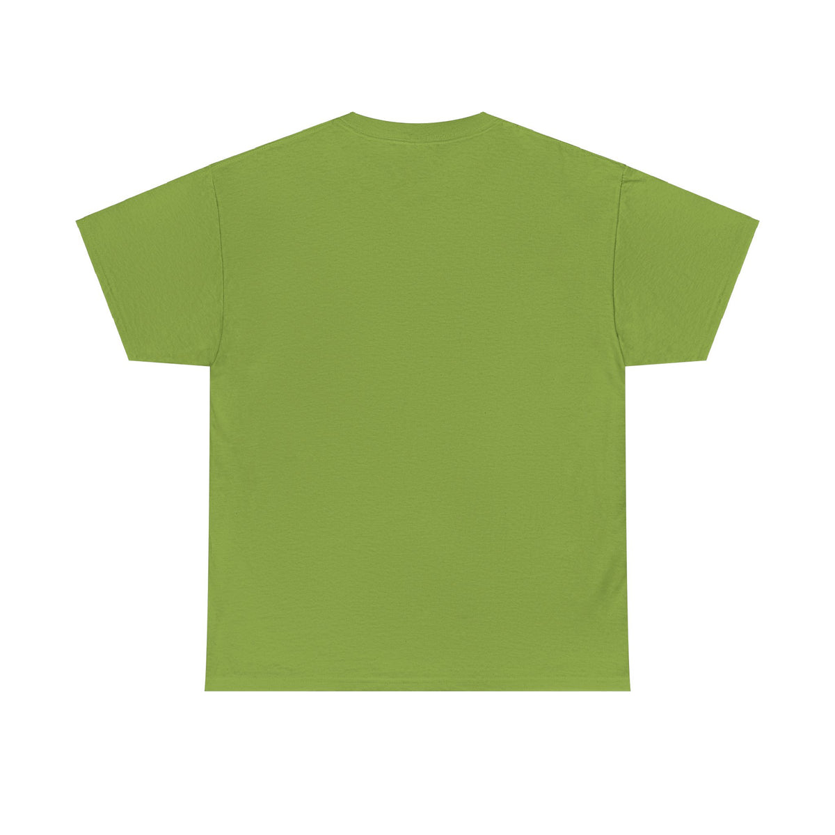 We Are Turtle Island T-Shirt