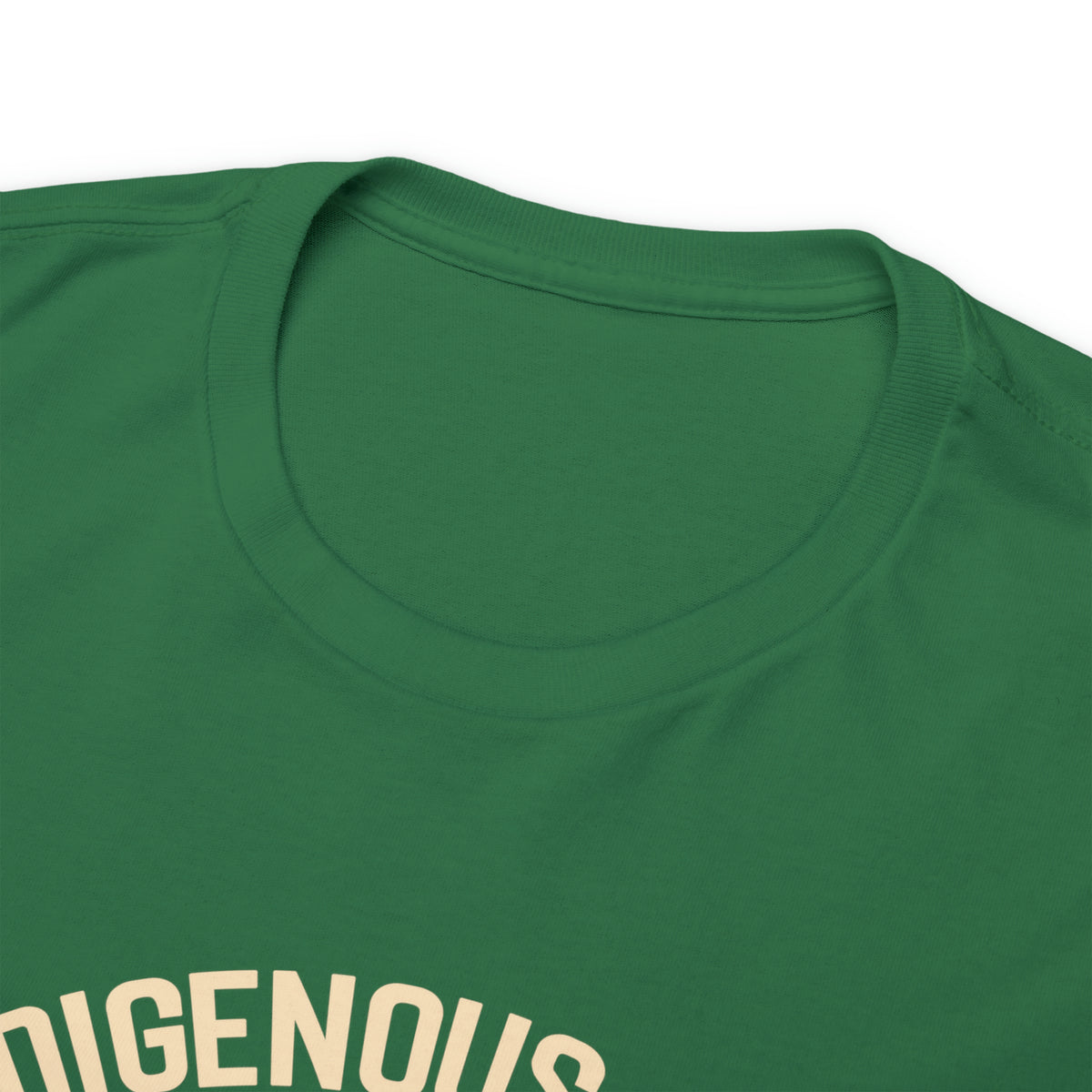 Indigenous Ally T-Shirt