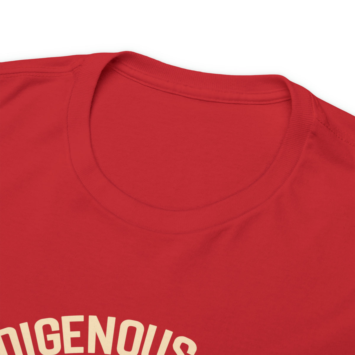 Indigenous Ally T-Shirt