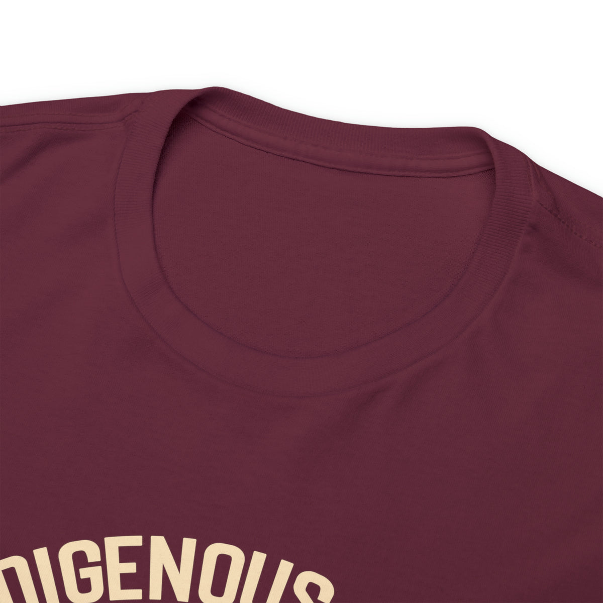 Indigenous Ally T-Shirt