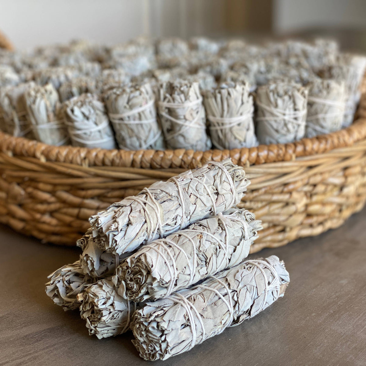 White Sage Bundle 4 inch - California White Sage Farm