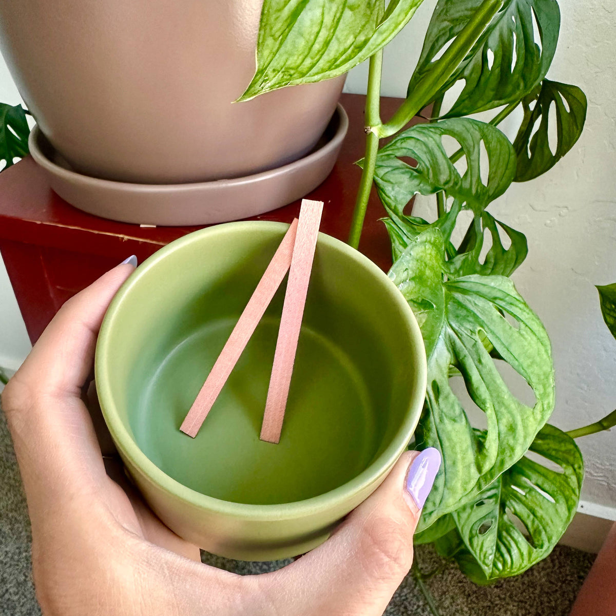 Sweetgrass Candles