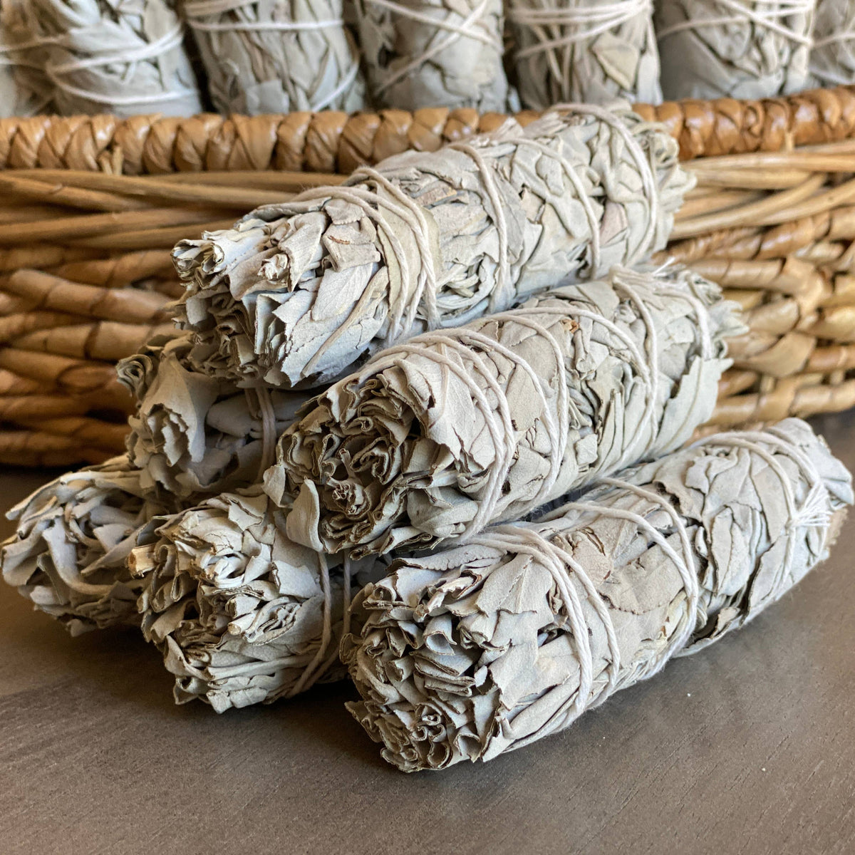 White Sage Bundle 4 inch- California White Sage Farm