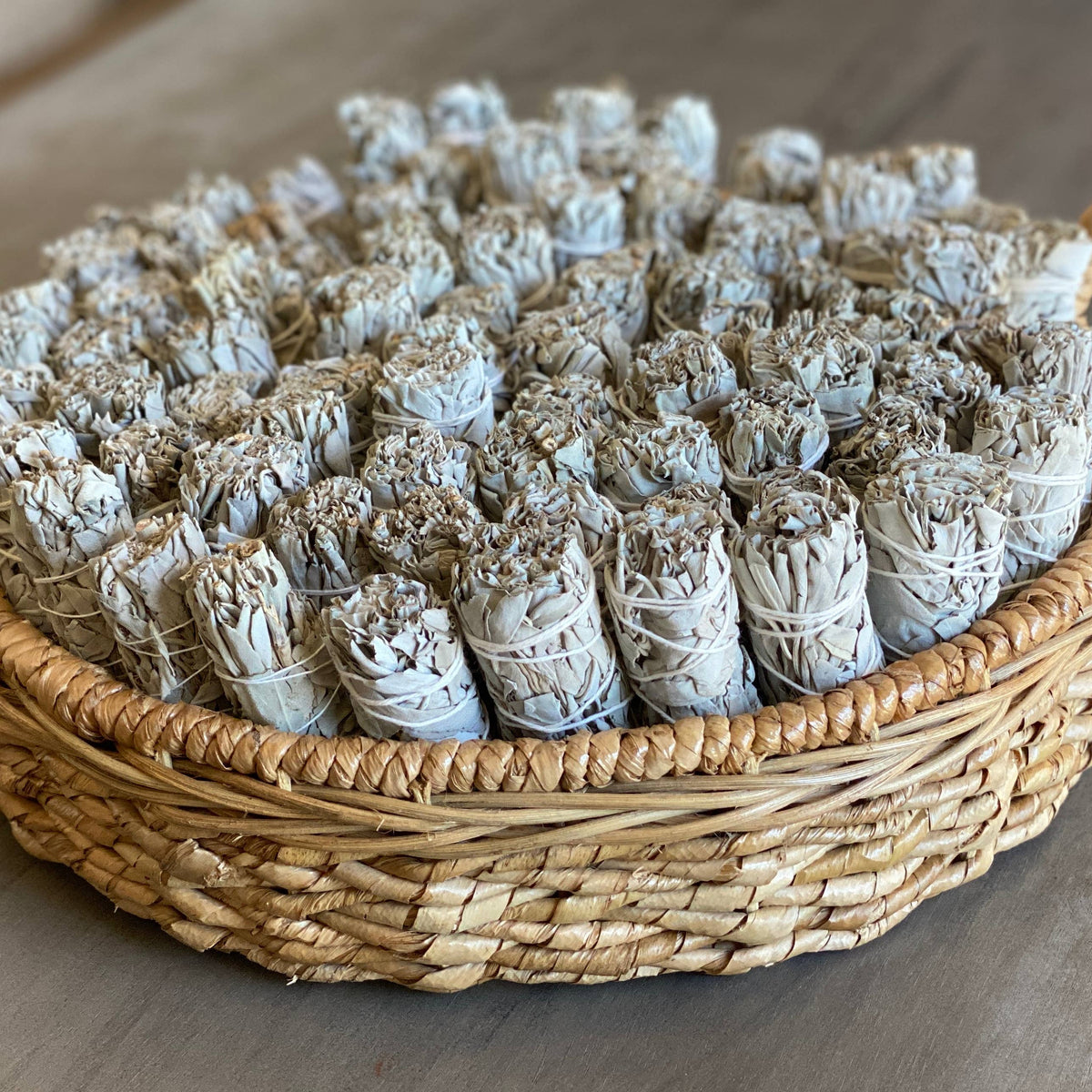 White Sage Bundle 4 inch - California White Sage Farm