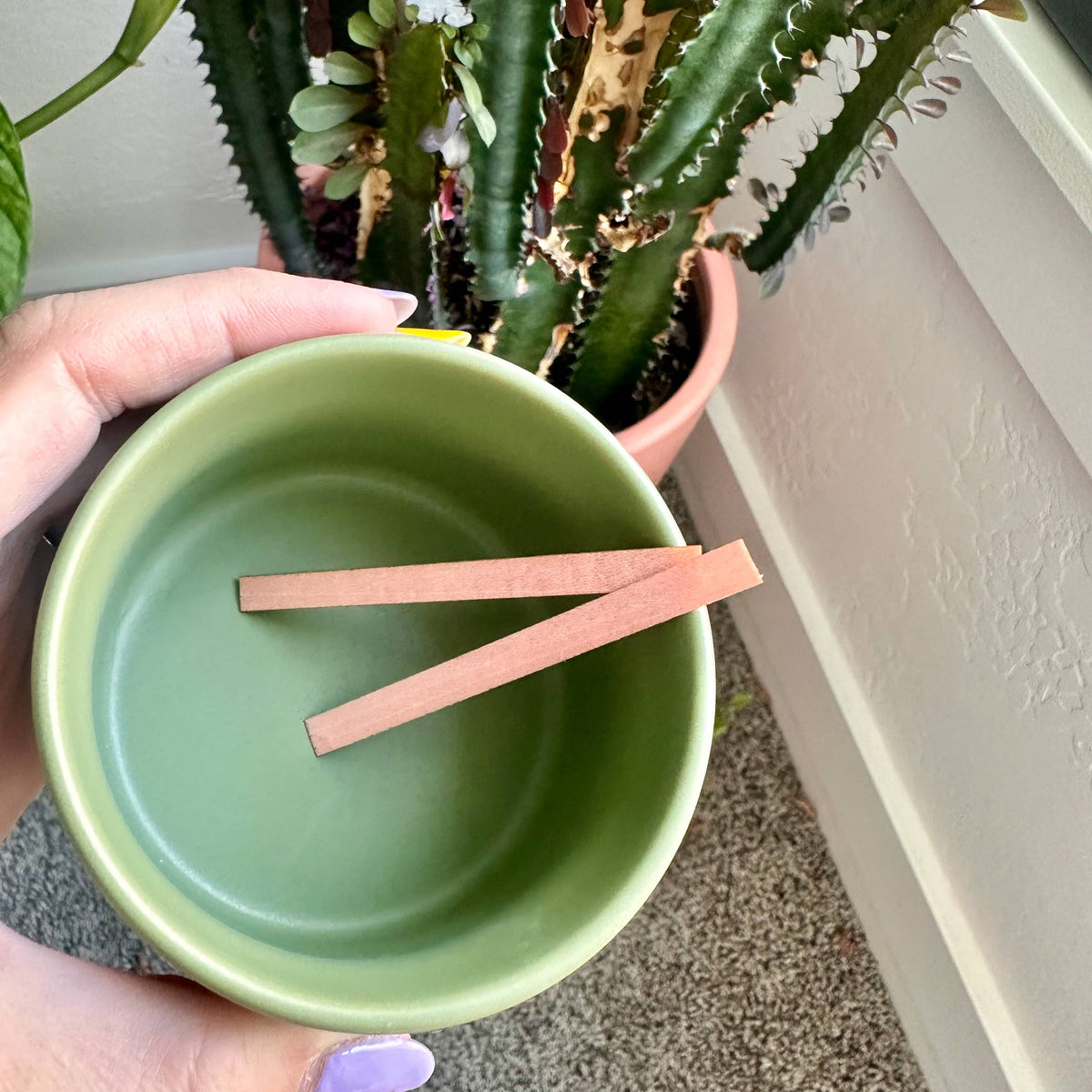 Sweetgrass Candles