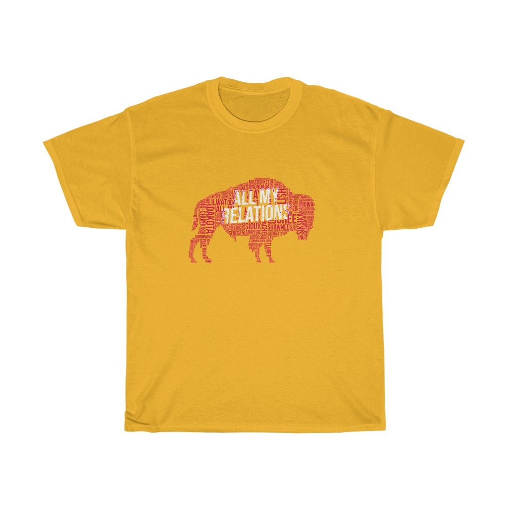 All My Relations Buffalo Tribal - T-Shirt